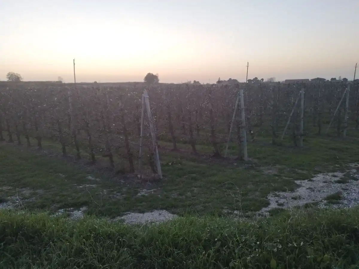 Finca rústica en venta en Puigverd de Lleida