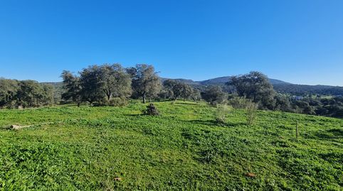 Venta de terreno junto a Puerto Calatraveño, immagine 5