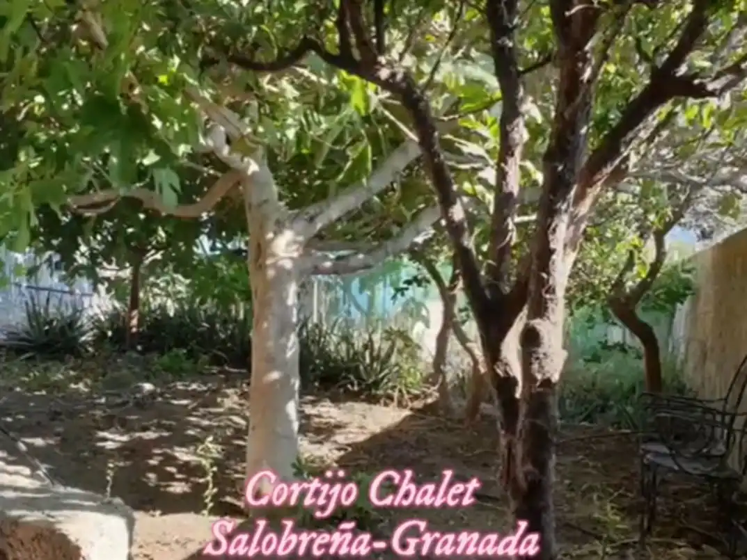 Xalet amb jardí en venda a Avenida del Mediterraneo 12, imagen 21