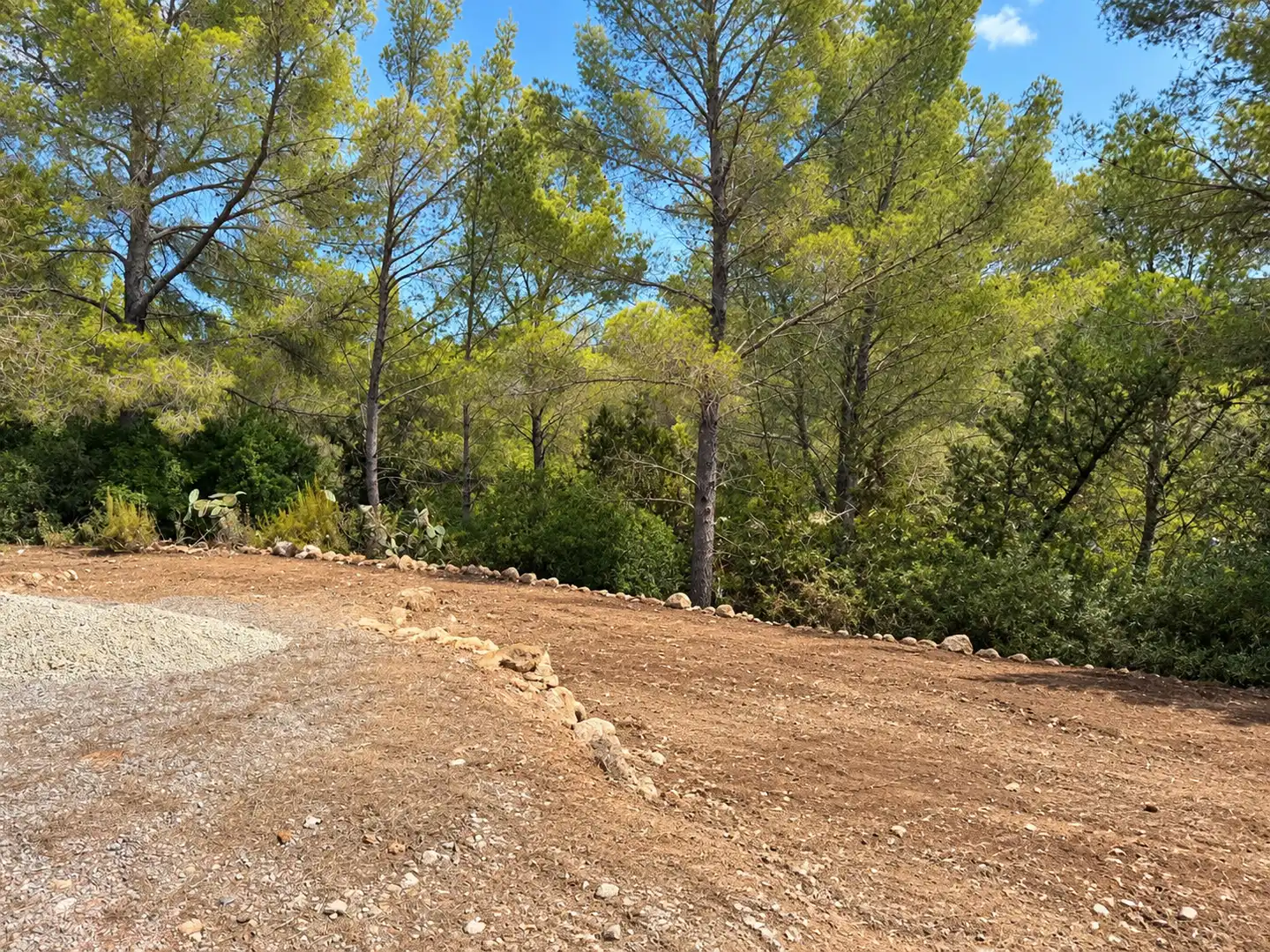 Rural land for sale in Sant Joan de Labritja, imagen 6