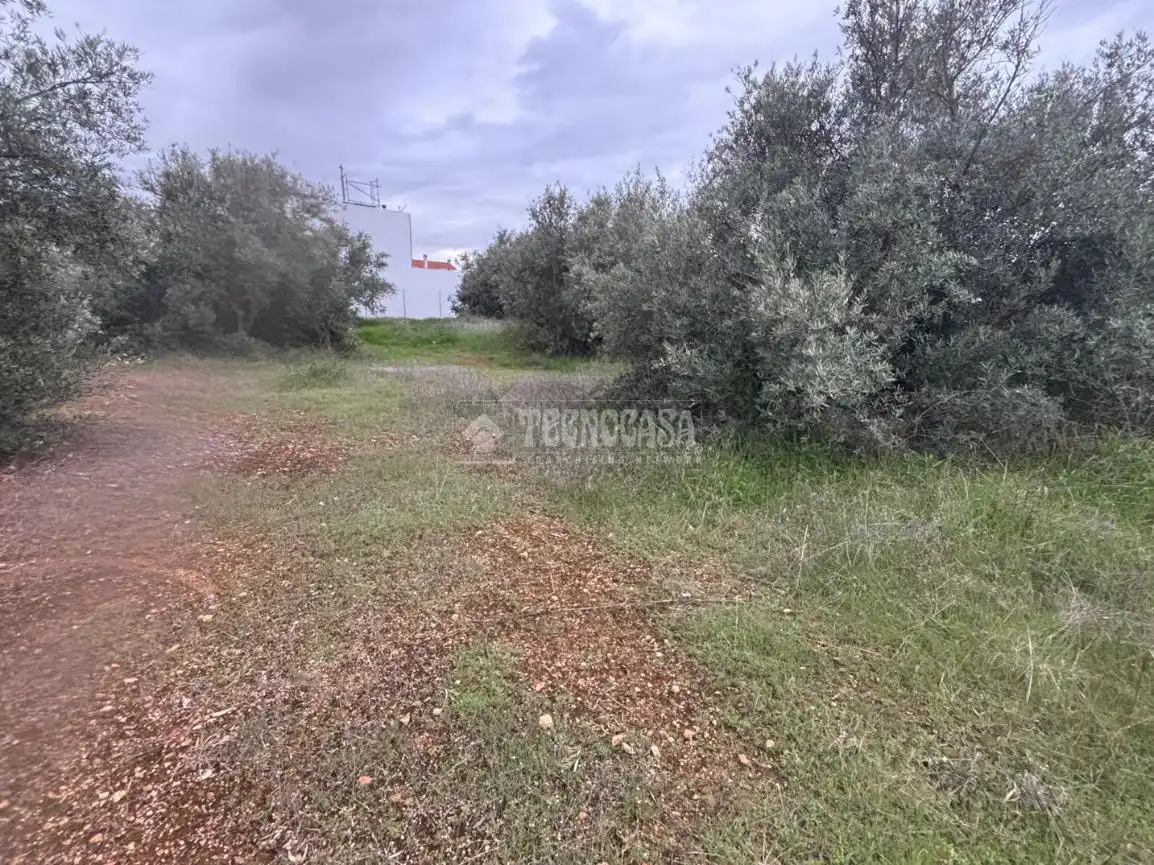 Terreni e lotti in vendita a Atarfe, imagen 4