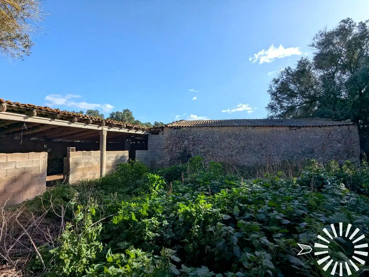 Terrain rustique à vendre à Cami de Son Pau, imagen 44