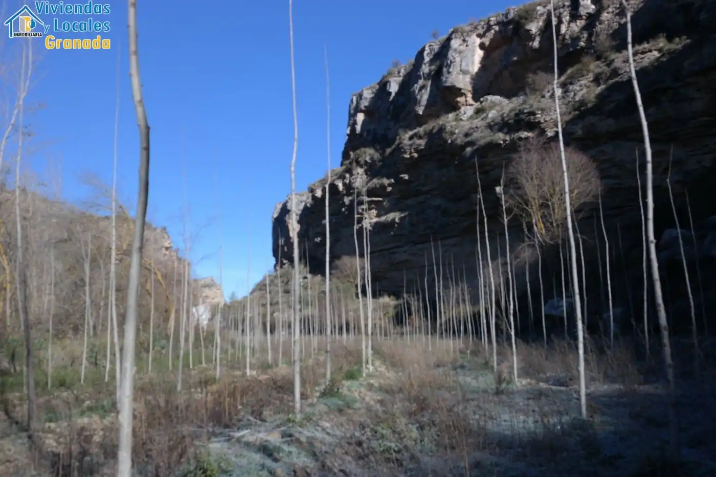 Terreni e lotti in vendita a Alhama de Granada, imagen 4