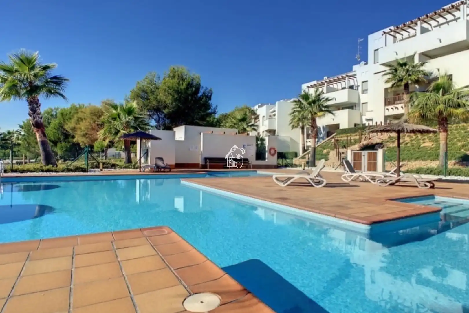 Schwimmbecken von Wohnung zur Miete in Orihuela mit Klimaanlage, Schwimmbad und Möbliert