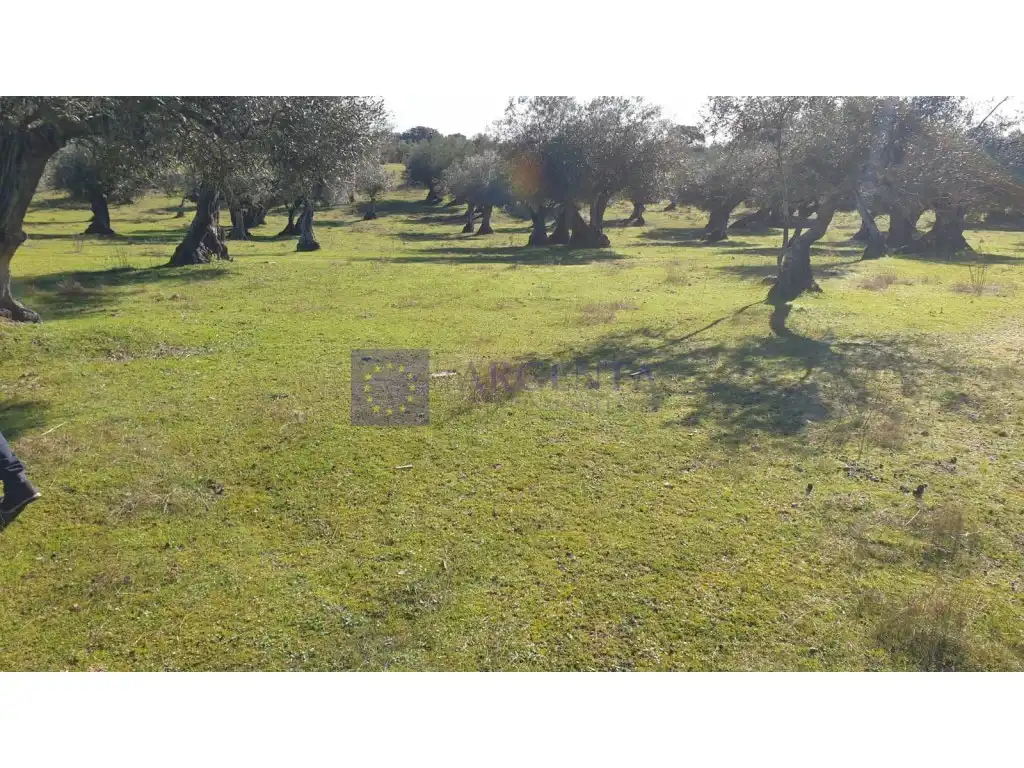 Houses for sale in Diseminados S Miguel, Alcántara