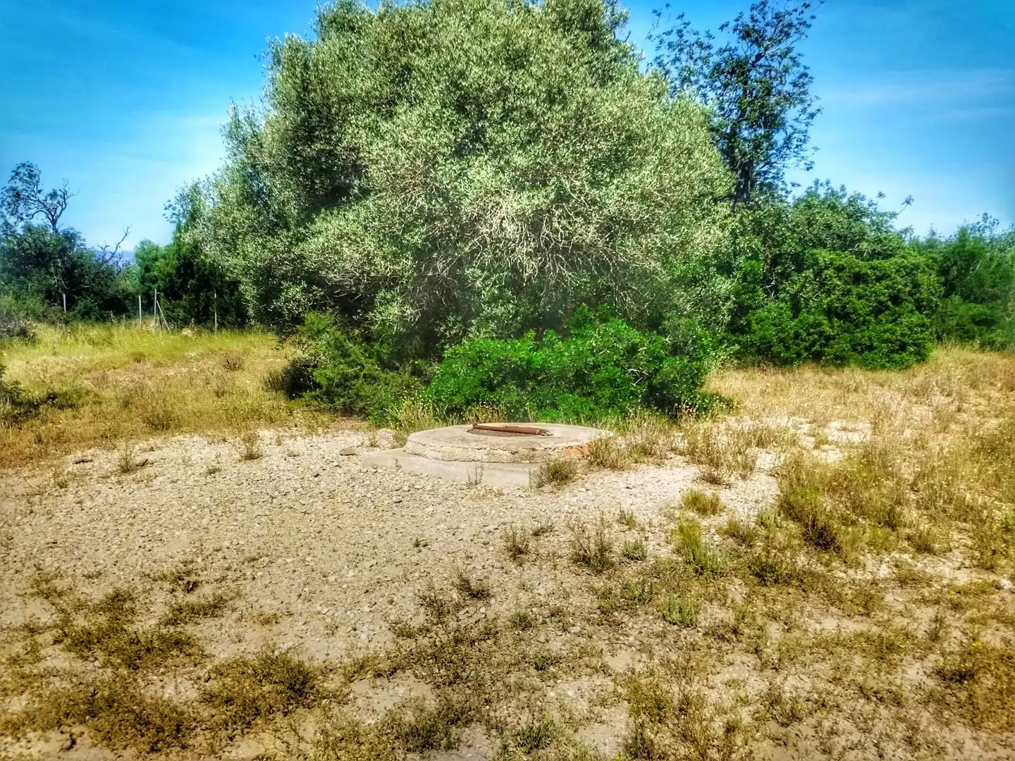 Terrain rustique à vendre à Roquetes, imagen 17