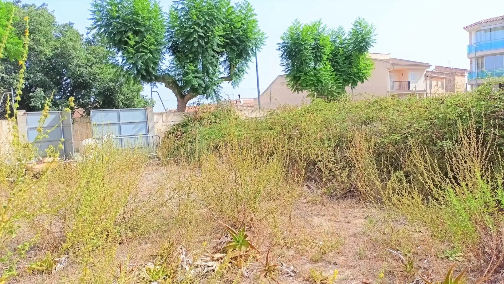 Terrenys i solars en venda a Muro