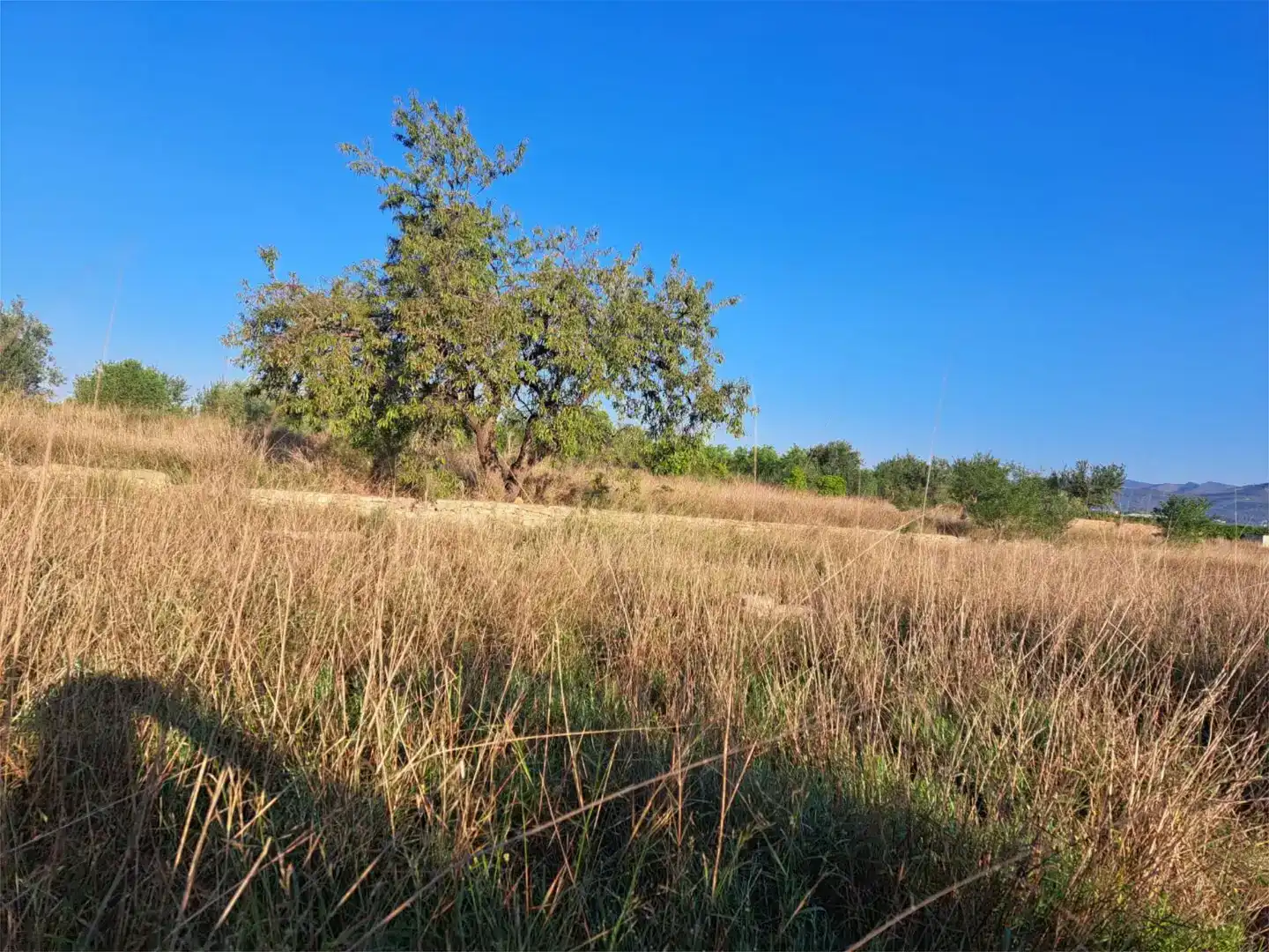 Land for sale in Marines