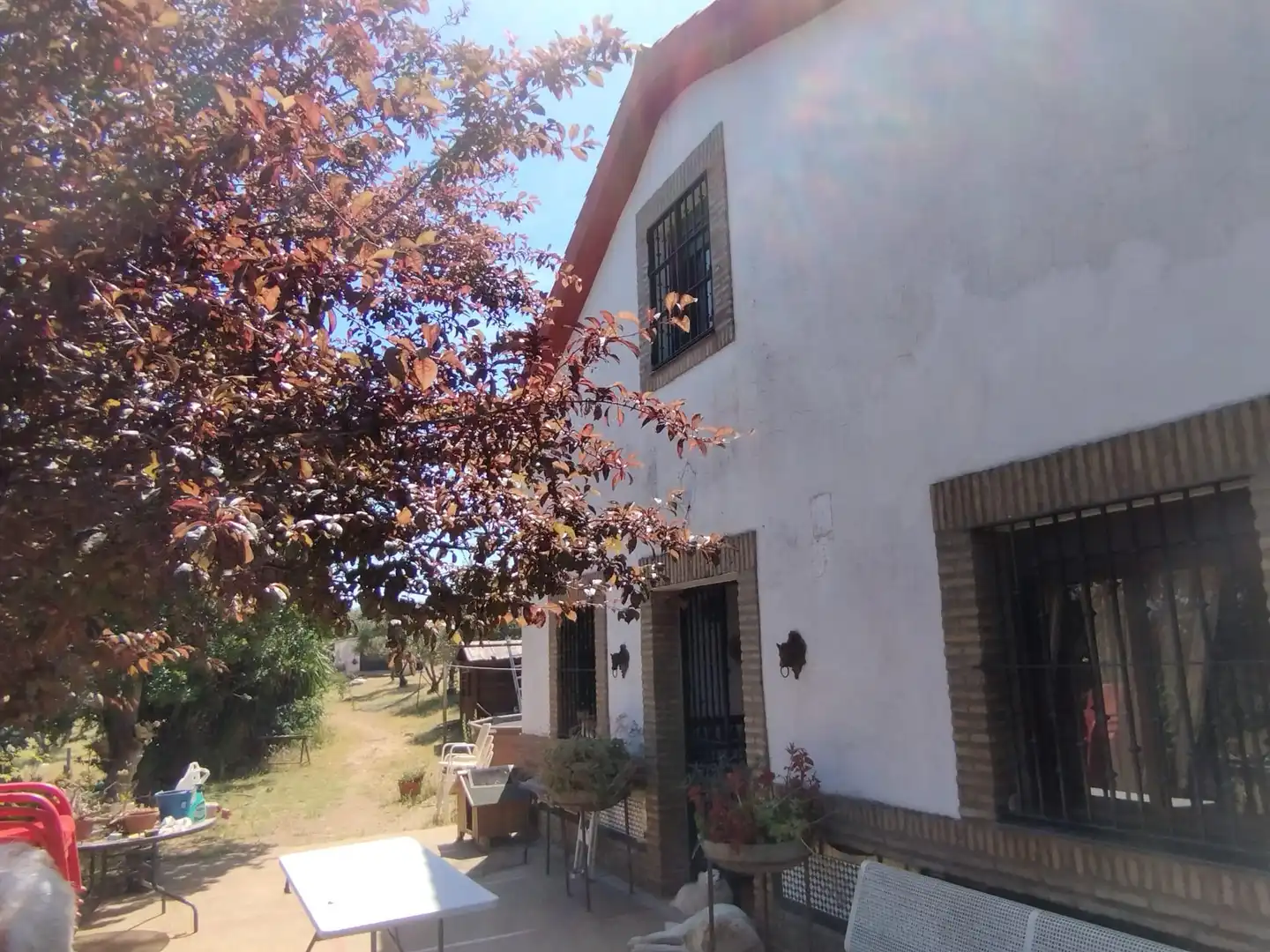 Vista exterior de Finca rústica en venda en Almadén de la Plata amb Jardí privat