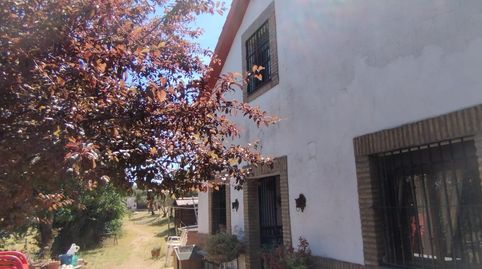 Foto 2 von Country house zum Verkauf in Almadén de la Plata, Sevilla
