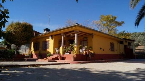 CHALET,  30,000 M2  DOS NAVES, 2 FANEGAS DE OLIVOS CON 2 POZOS.