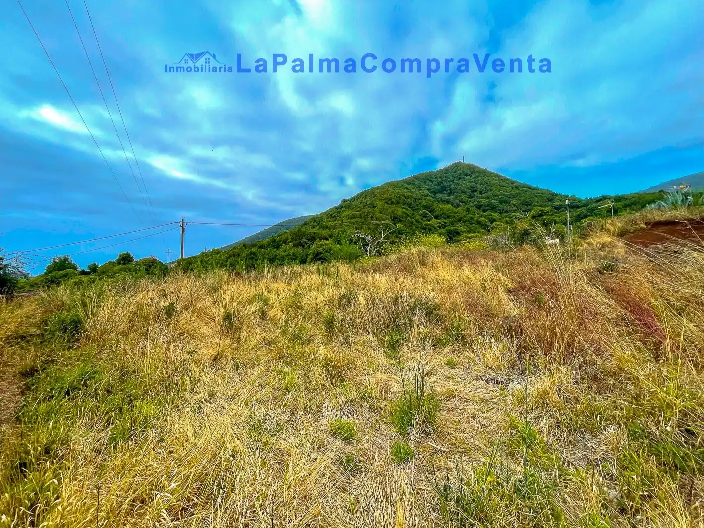 Vista exterior de Residencial en venta en Puntallana