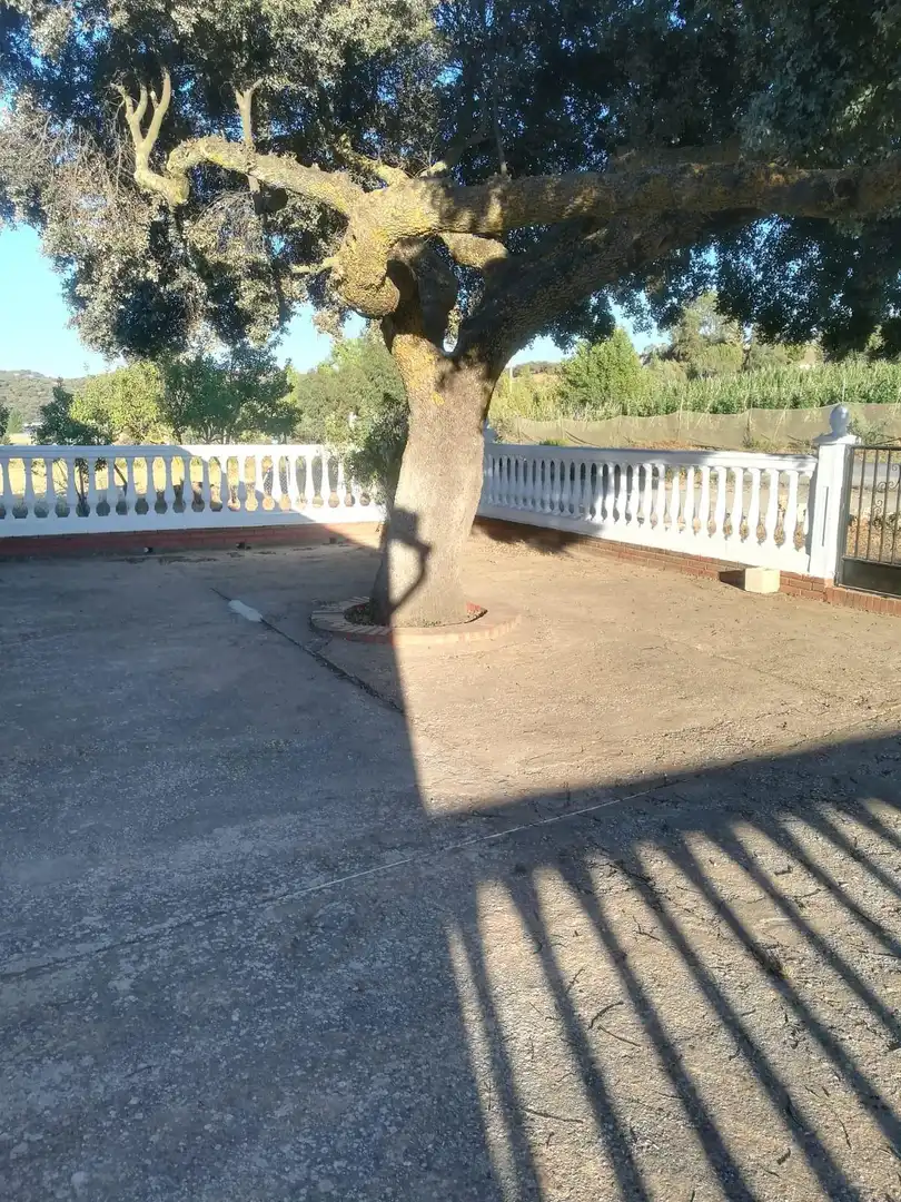 Country homes for sale in Alhama de Granada