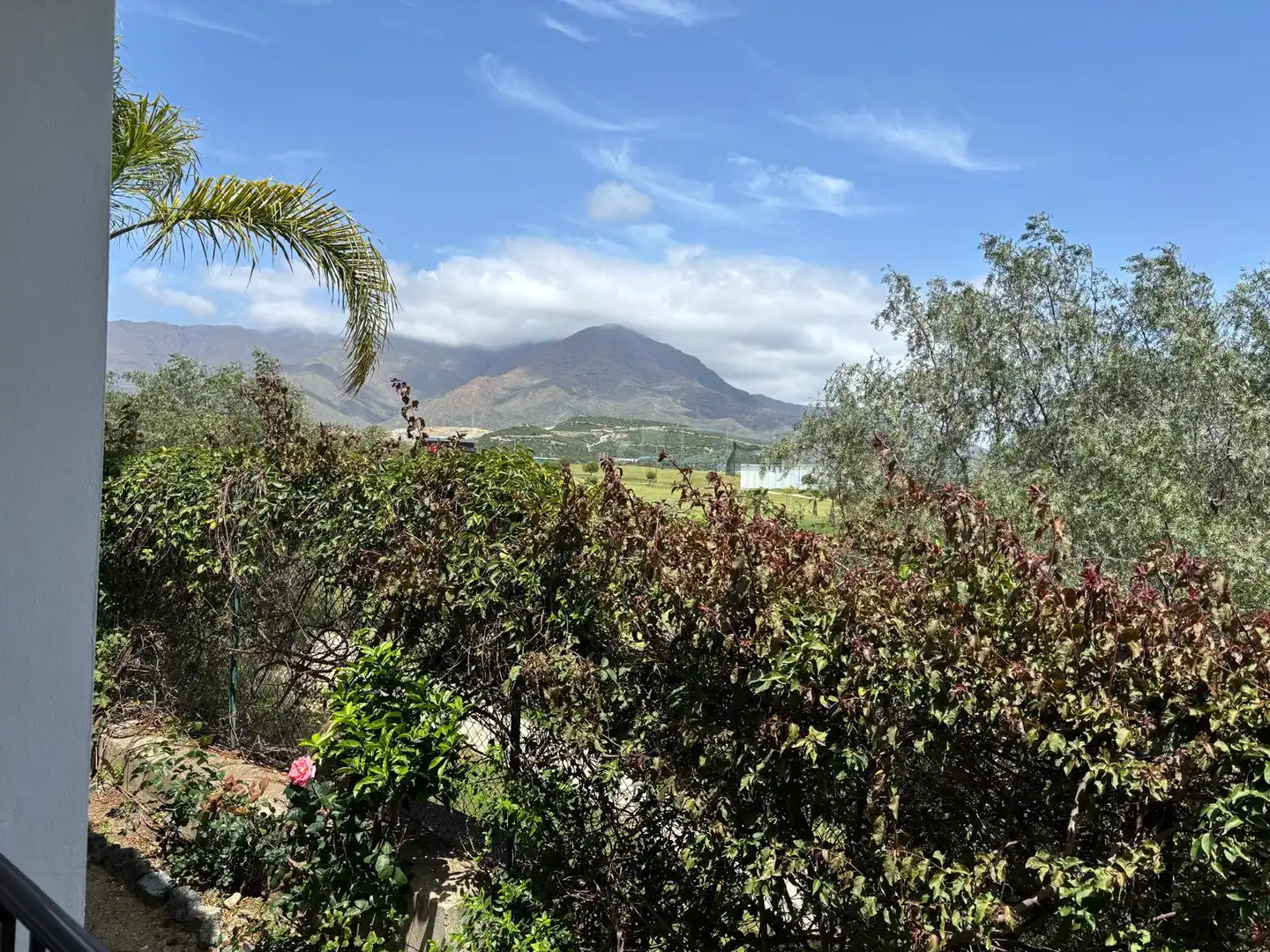 Einfamilien-Reihenhaus zur Miete in Estepona Golf
