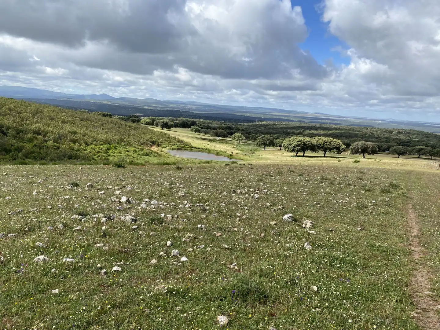 Terreno en venta en Deleitosa