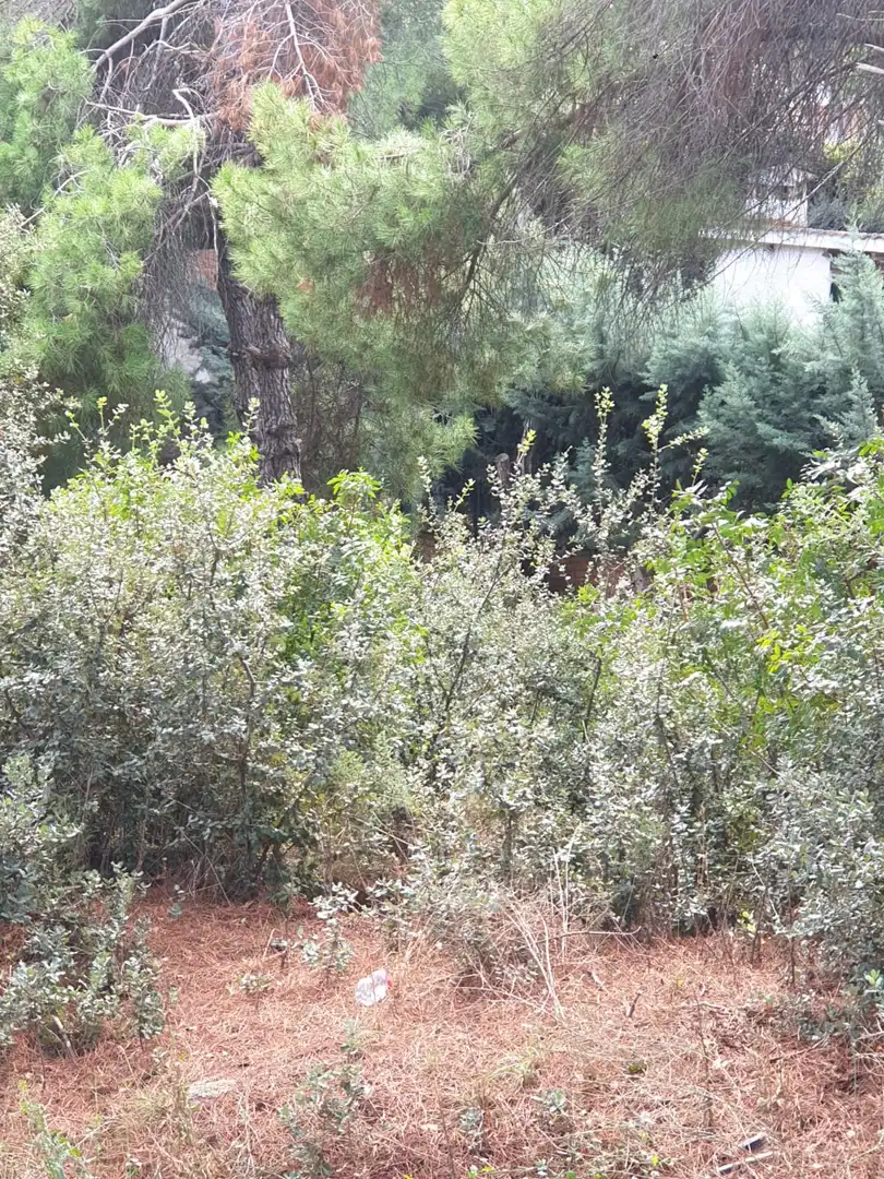 Residencial en venta en Pelayos de la Presa, Madrid