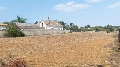 Puerto RealTerreno, imatge 2