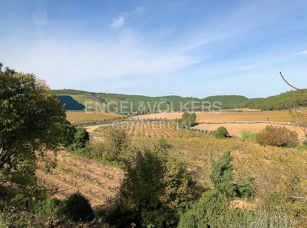 Fabrik Grundstücke zum Verkauf in Avinyonet del Penedès
