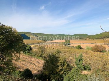 Terreny industrial en venda a Avinyonet del Penedès