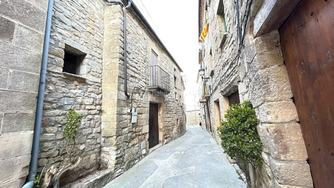Vista exterior de Finca rústica en venta en Passanant i Belltall con Terraza