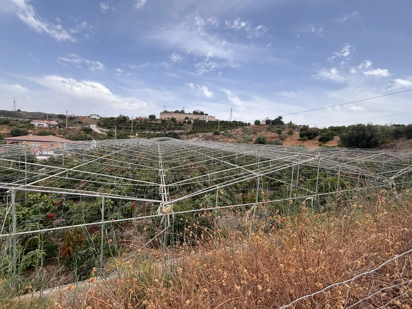 Terreni e lotti in vendita a Cortijo los Mananas 5, imagen 6