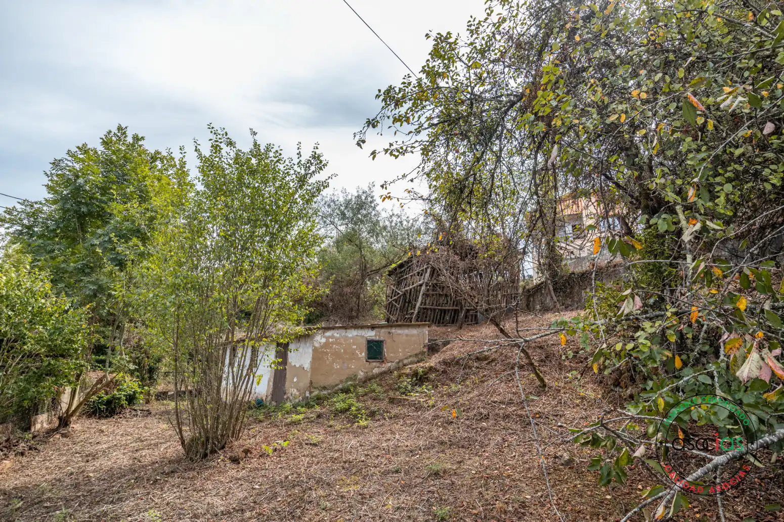 Casa o xalet en venda en Oviedo 