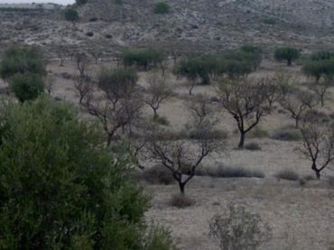 Terreno rustico in vendita a El Fenazar - Campotéjar
