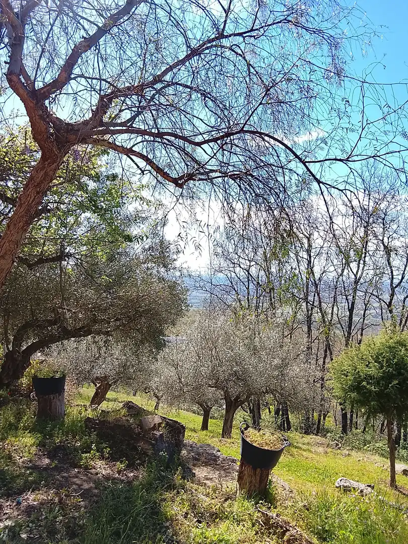 Terreni e lotti in vendita a Candeleda, imagen 44