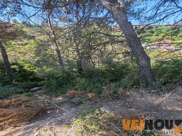 Terreno residencial en venta en Avinguda dels Països Catalans