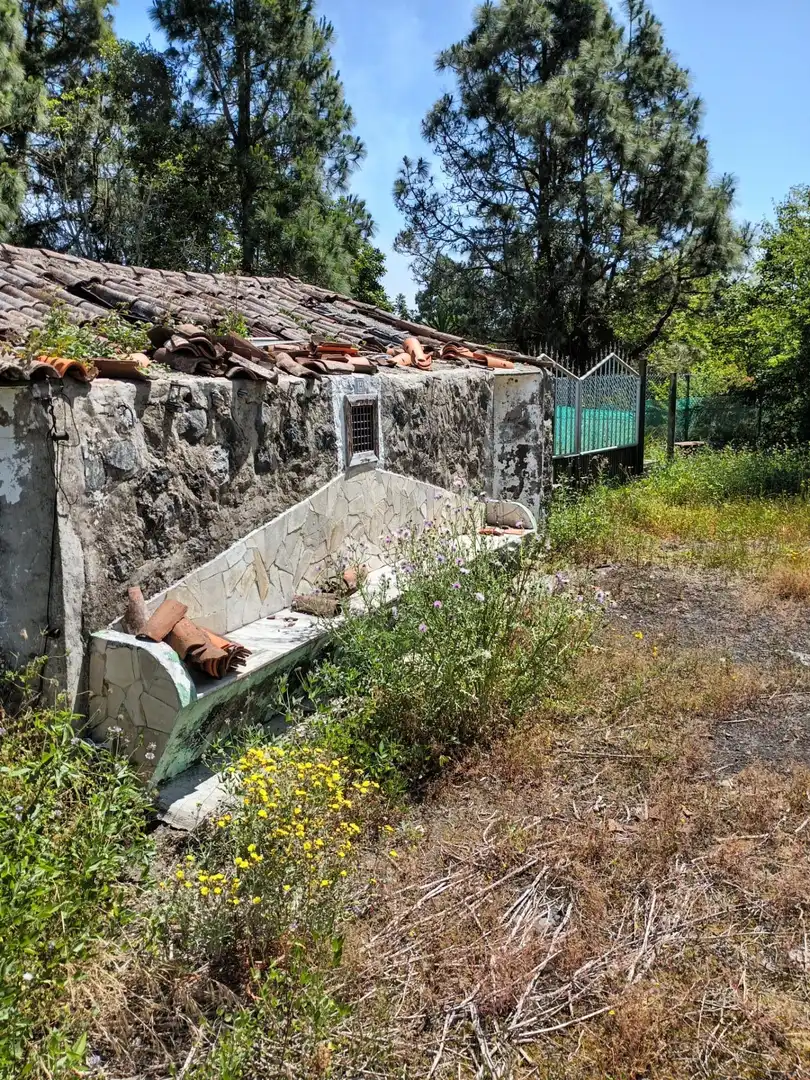 Vista exterior de Finca rústica en venta en Garachico