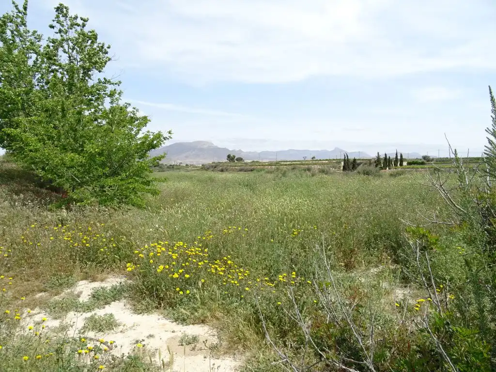 Country homes for sale in Aspe
