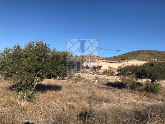 Terreno en Venta en El Fenazar - Campotéjar