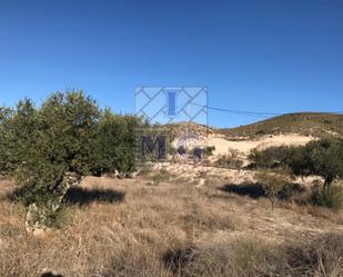 Residencial en venda en Molina de Segura