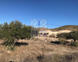 Residential for sale in Molina de Segura