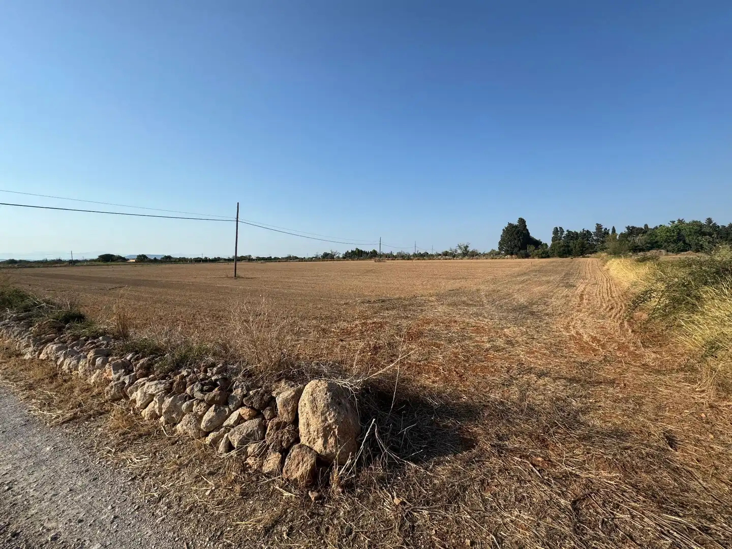 Rural land for sale in M14 Diseminado Primera Volta, imagen 4