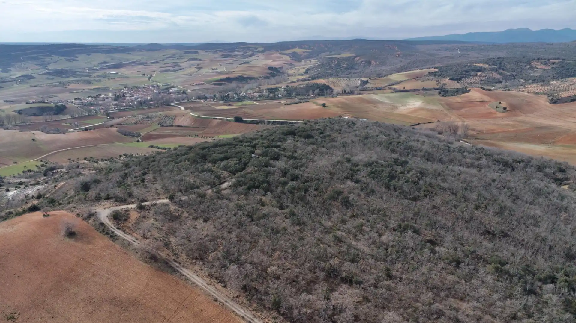 Land for sale in Arbancón