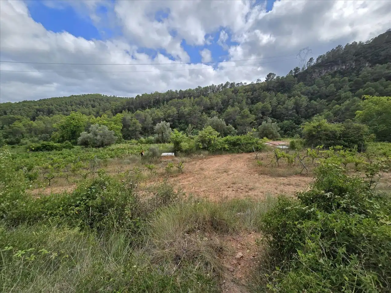 Terreny residencial en venda a Plana de Cal Cendra, imagen 2