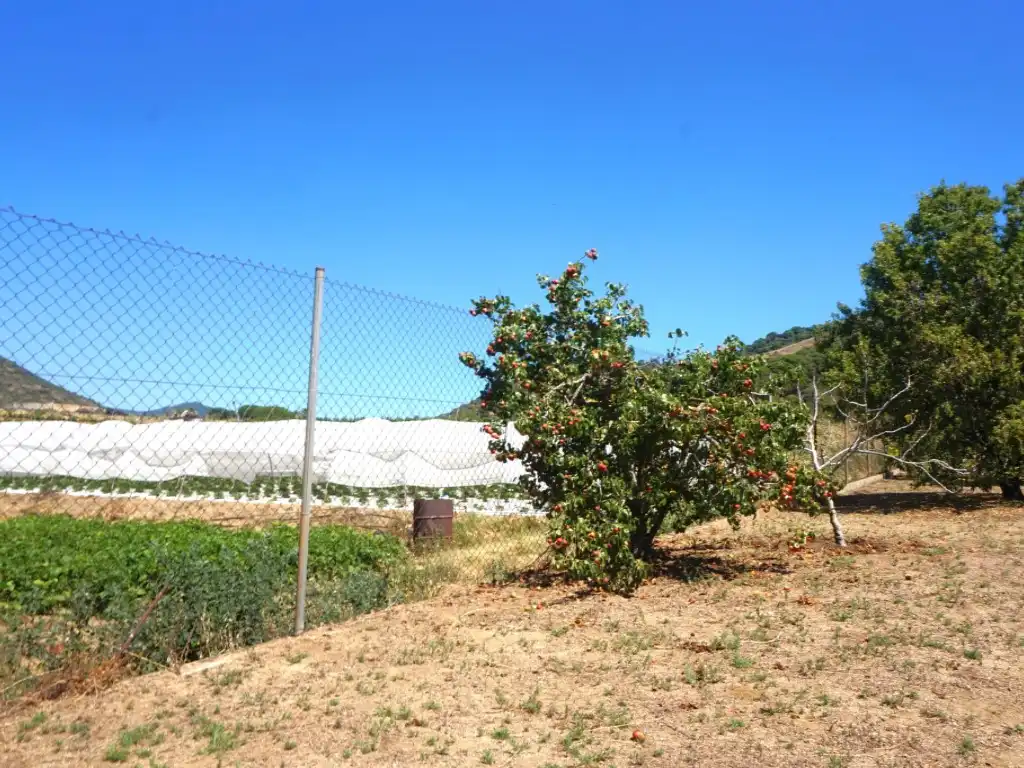 Houses for sale in Pineda de Mar