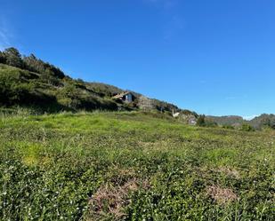 Residential for sale in Candamo