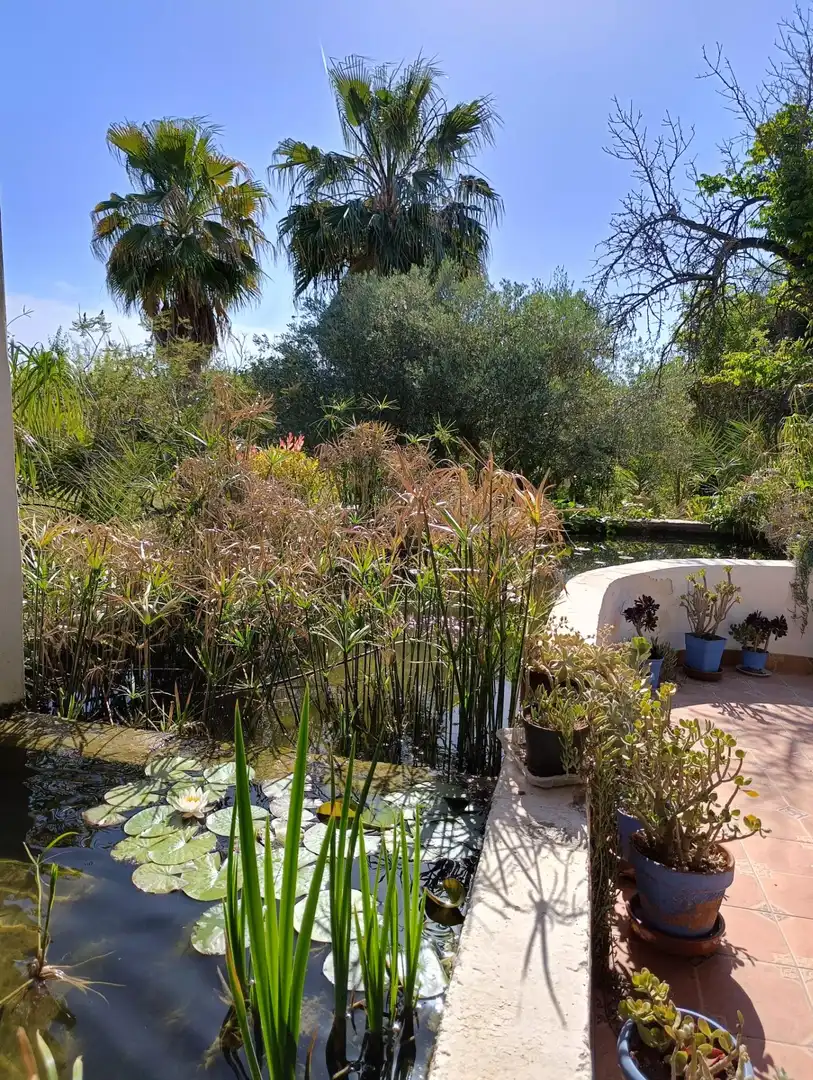 Jardí de Finca rústica en venda en Elche / Elx amb Aire condicionat, Calefacció i Jardí privat