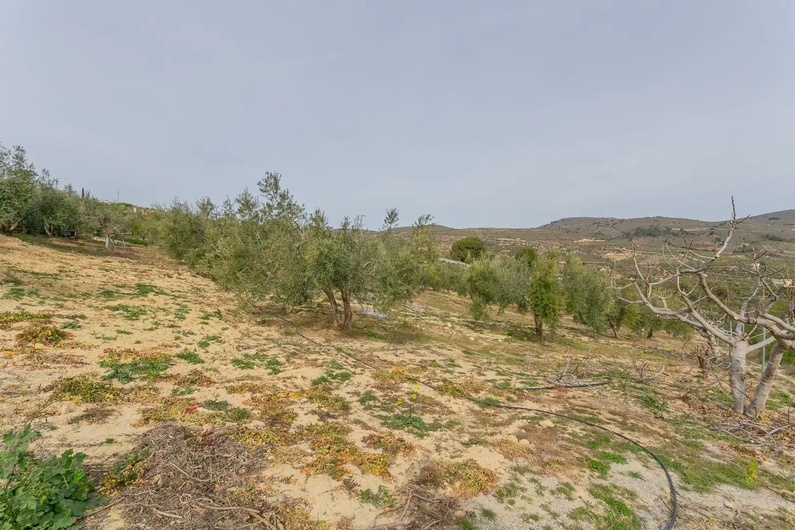 Casa o chalet en venta en Albuñuelas con Aire acondicionado, Jardín privado y Terraza