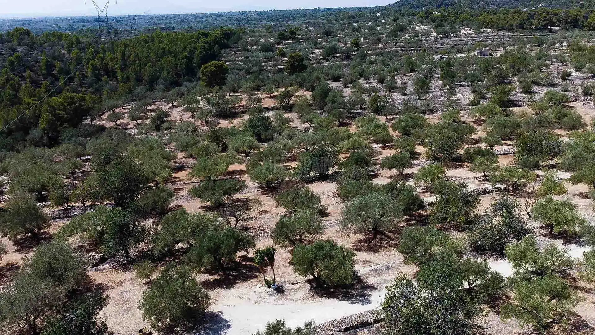 Country homes for sale in L'Ampolla