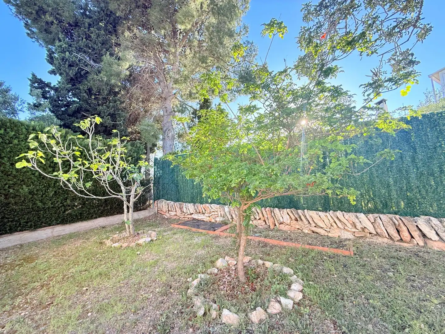 Jardín de Casa o chalet en venta en L'Ampolla con Calefacción, Jardín privado y Terraza