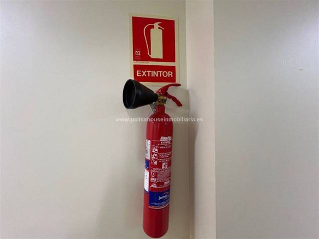 Local comercial en Alquiler en Son Armadans