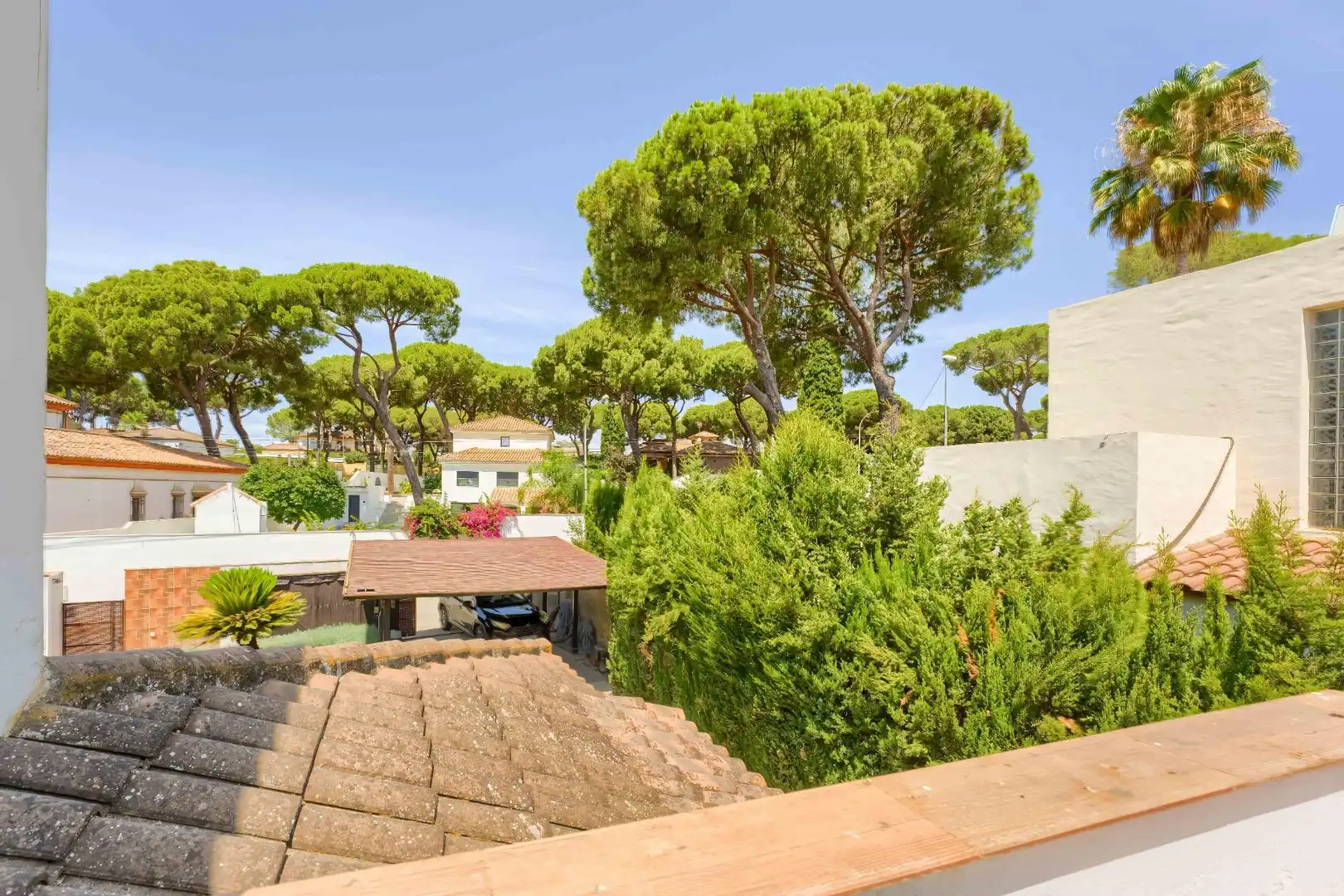 Jardí de Casa o xalet en venda en Alcalá de Guadaira amb Aire condicionat, Calefacció i Jardí privat