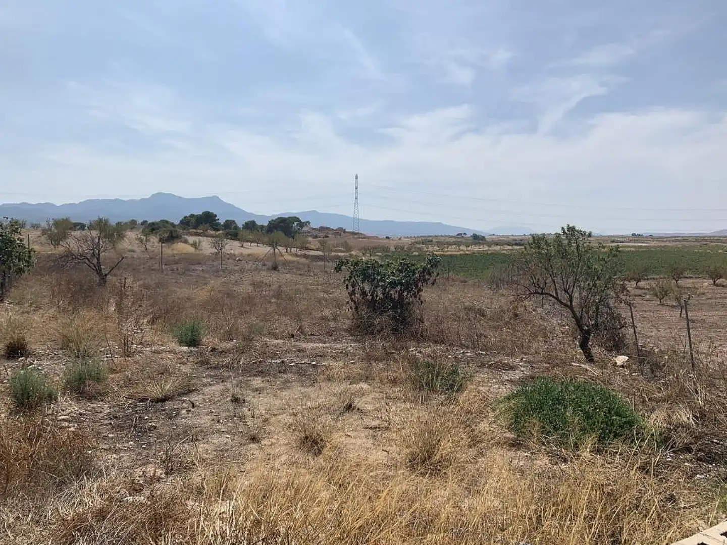 Casa rustica in vendita a Jumilla, imagen 18