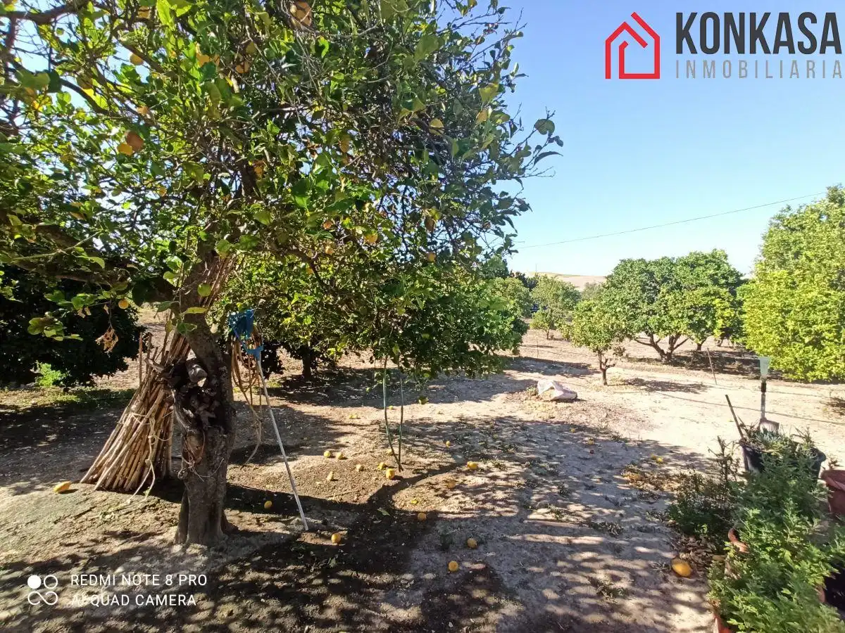 Chalet en venta en Arcos de la Frontera, imagen 27