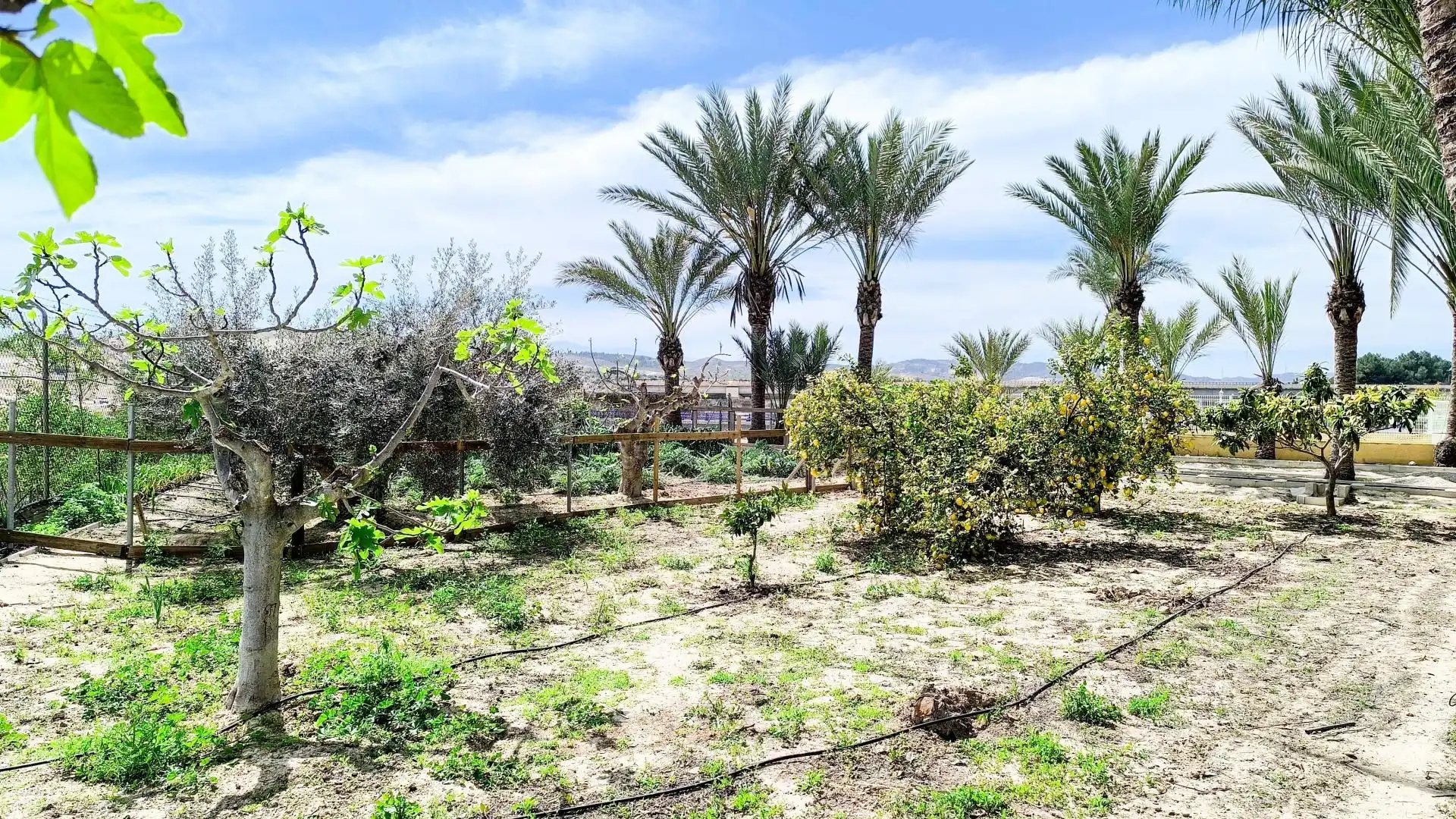 Finca rústica en venta en Murcia con Aire acondicionado, Calefacción y Piscina