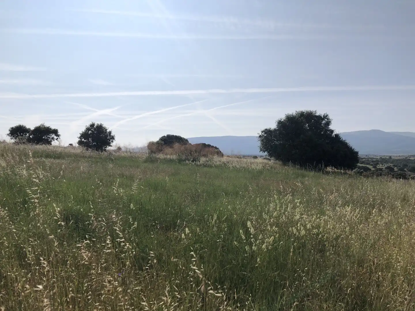 Terreni e lotti in vendita a Pelayos del Arroyo, imagen 8