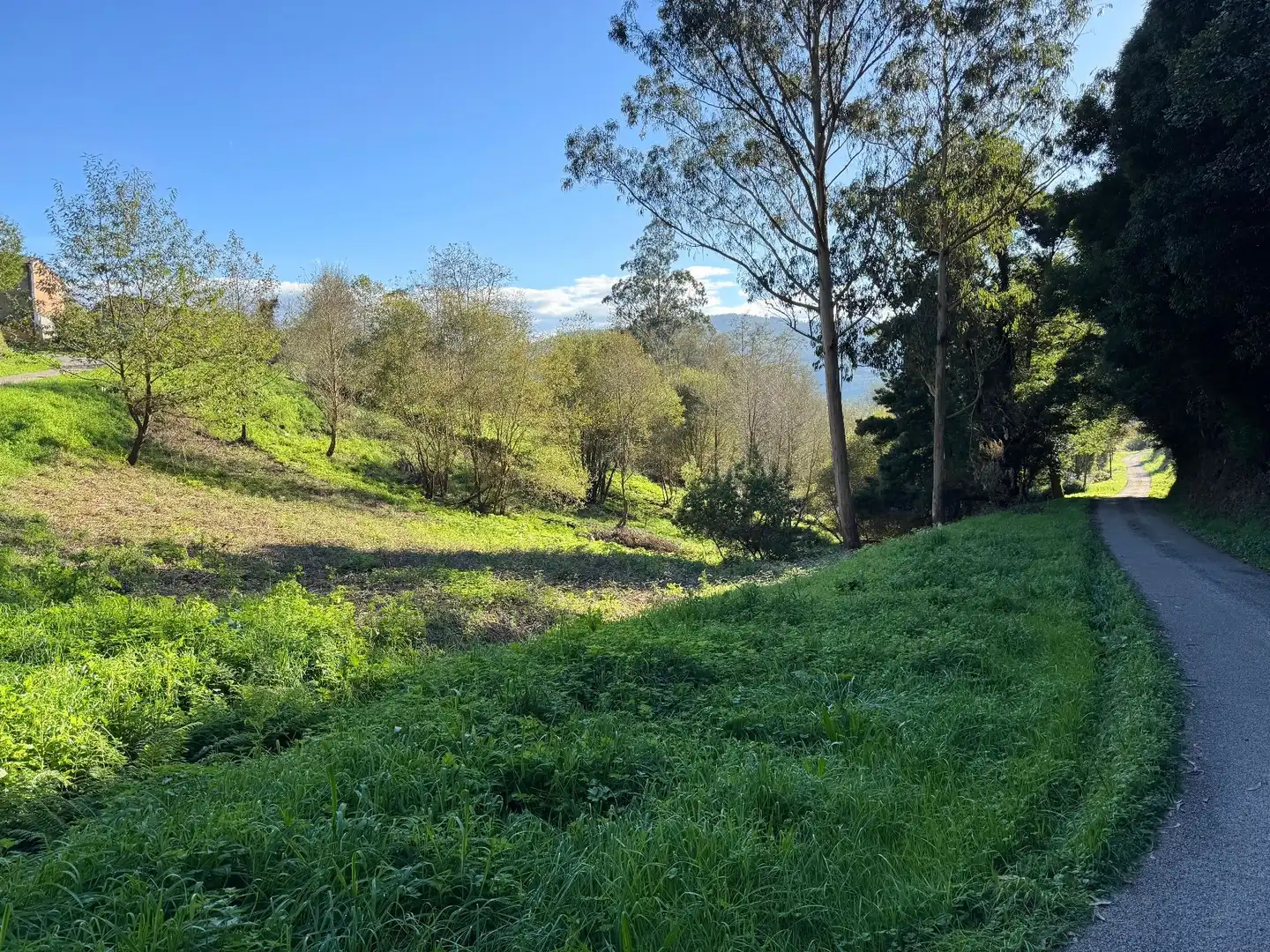Casa o xalet en venda en Trabada amb Traster